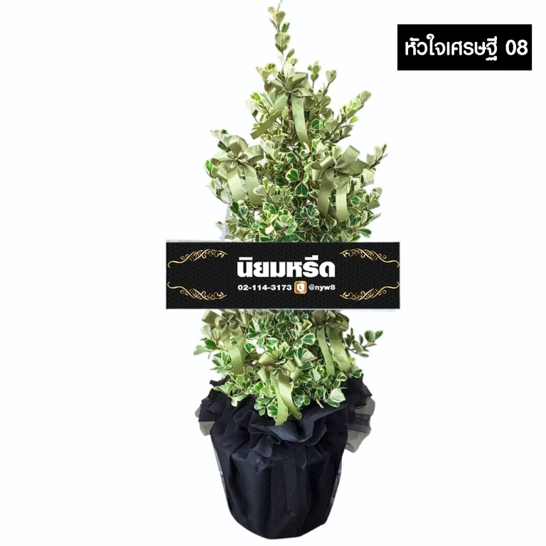 พวงหรีดต้นไทรหัวใจเศรษฐี08 ไม้มงคล ห่อกระถางสีม่วง ประดับโบว์สีแดง จัดส่งฟรีกรุงเทพและปริมณฑล