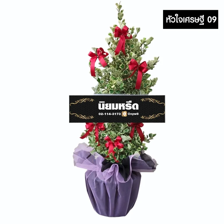 พวงหรีดต้นไทรหัวใจเศรษฐี09 ไม้มงคล ห่อฐานสีม่วง ประดับโบว์สีแดง โดดเด่น จัดส่งฟรีกรุงเทพและปริมณฑล