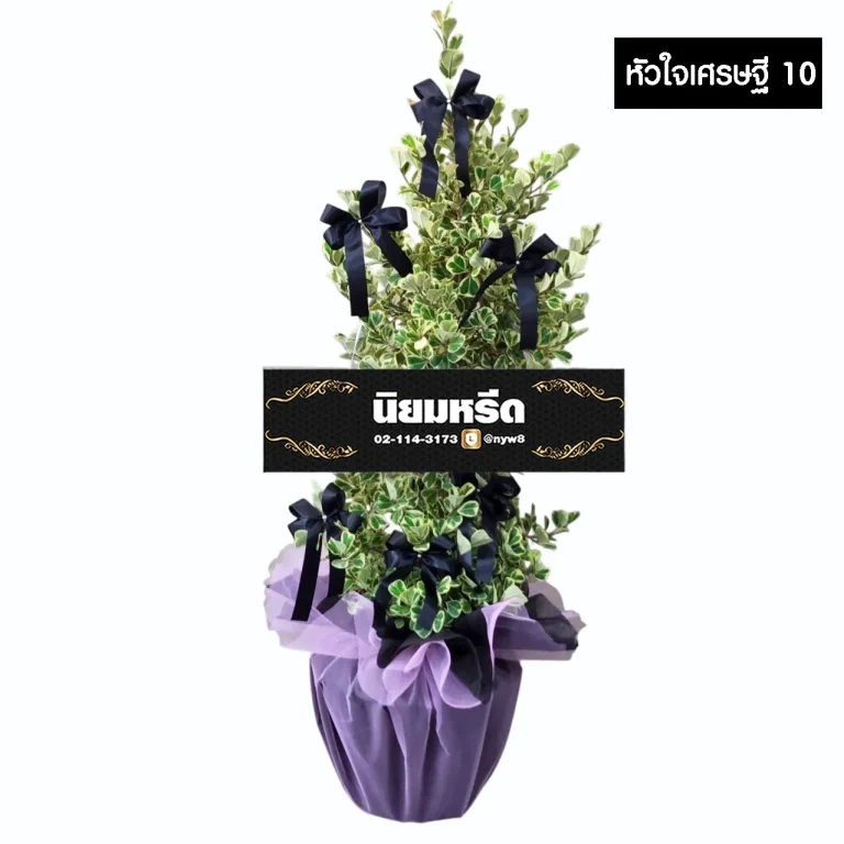 พวงหรีดต้นไทรหัวใจเศรษฐี10 ไม้มงคล ห่อฐานสีม่วง ประดับโบว์สีดำขลับ สุภาพ เป็นทางการสูงสุด