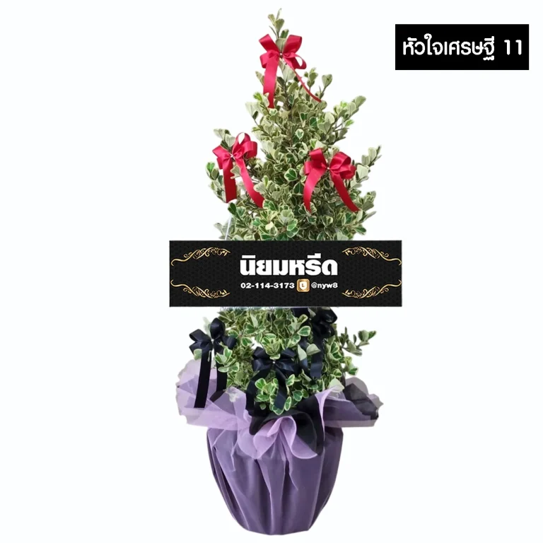 พวงหรีดต้นไทรหัวใจเศรษฐี11 ไม้มงคล ห่อฐานสีม่วง ประดับโบว์แดง จัดส่งฟรีกรุงเทพและปริมณฑล